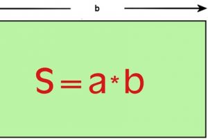 площадь прямоугольника формула